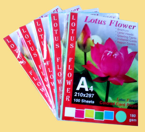 Bìa màu A4 Lotus (5 màu)